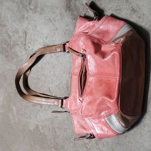 the Sak Handbag